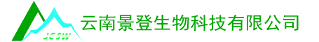 云南景登生物科技有限责任公司&专注 白及、金线莲、铁皮石斛等中药种苗生产销售与产业化开发